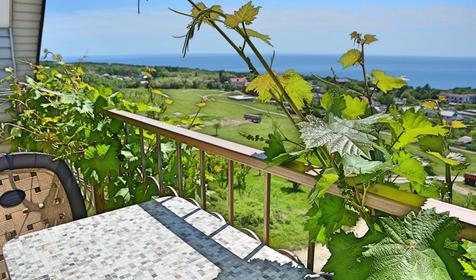 Двухкомнатный с двумя балконами