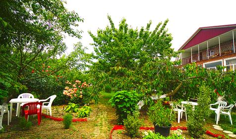 Ласточкино гнездо