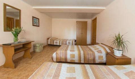 Адлер-НаИгМа