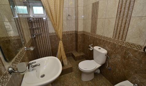 Люкс трехкомнатный пятиместный с кухней №9, 12