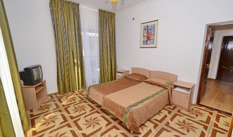 Люкс трехкомнатный пятиместный с кухней №9, 12