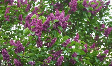 Отель Home (Хоум), г. Краснодар