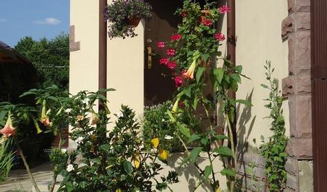 Вилла Гардения