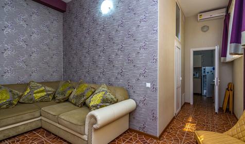 Апартаменты с гостиной, спальней и кухней