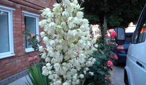 дом под ключ