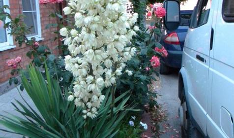 дом под ключ