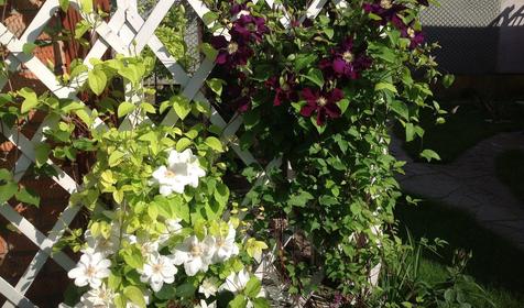 Гостевой дом "На Гоголя 68", Ейск