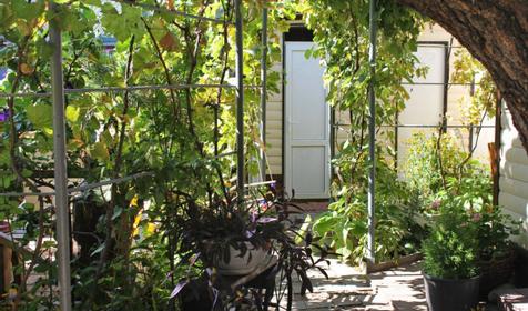 Стандартный номер