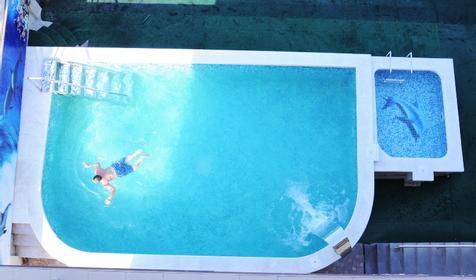 Leonidas (Леонидас)