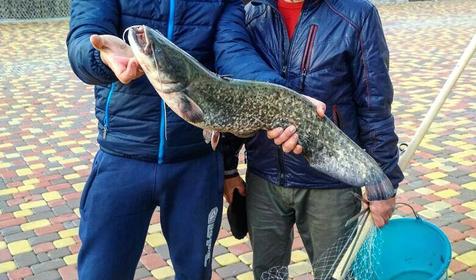 Резиденция комфорта Fishing Family