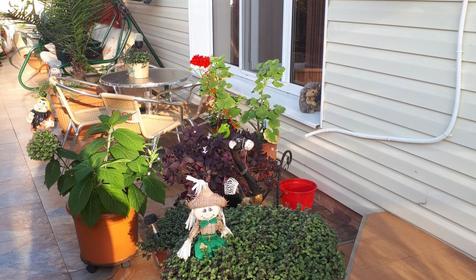 Гостевой дом "София", Лоо