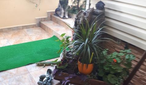 Гостевой дом "София", Лоо