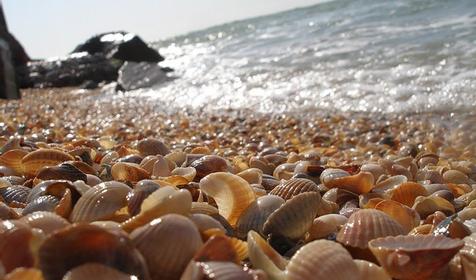 Южный берег