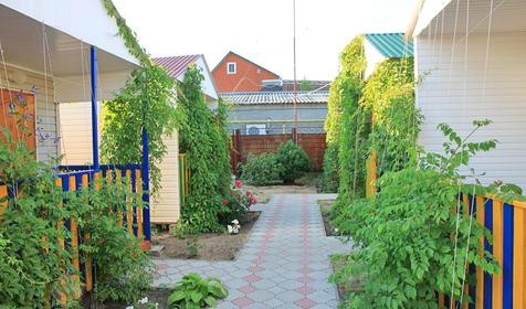 Южный берег