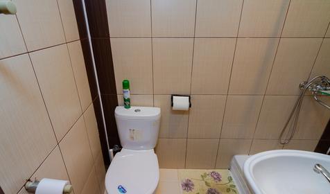 Комфорт без кондиционера. Гостевой дом Эдра, Сочи, Лоо