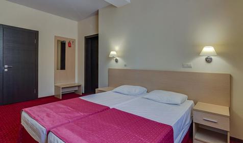 Стандарт 1-комнатный 2-местный без балкона 2 категории. Отель Афродита, Сочи, Адлер