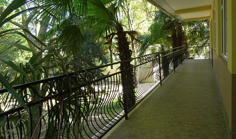 База отдыха "Олеся", Сочи, Лазаревское