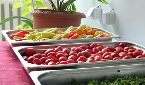 Бизнес-лагерь 4К