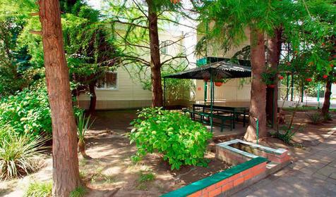 База отдыха "Олеся", Сочи, Лазаревское