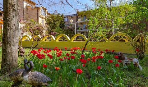 Санаторий Мотылек, Анапа