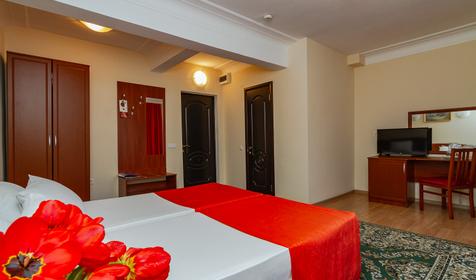 Однокомнатный двухместный комфорт 1 категории. Санаторий Мотылек, Анапа