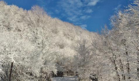 Бурный, Мостовской район