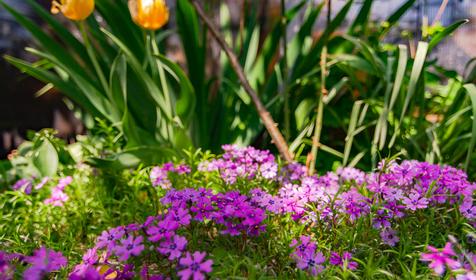 Гостевой дом на Герцена, Геленджик