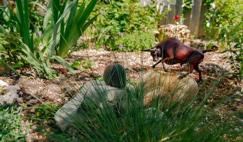 Гостевой дом на Герцена, Геленджик