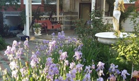 Белая Невесточка