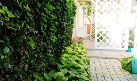 Четырехместный стандарт