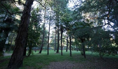 Отель "Профспорт", Сочи, Адлер