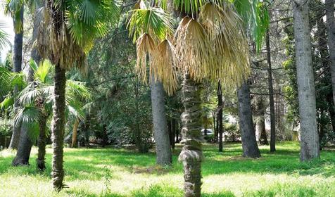 Отель "Профспорт", Сочи, Адлер