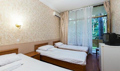 Эконом трехместный. Отель "Профспорт", Сочи, Адлер