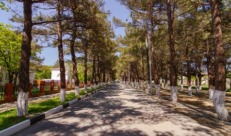 Краснодарский край, Геленджик, Кабардинка