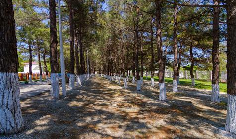 Краснодарский край, Геленджик, Кабардинка