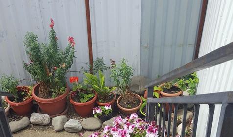 Гостевой дом Отдых у Сусанны, Сочи, Адлер