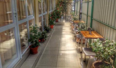 Диковинка Сочи