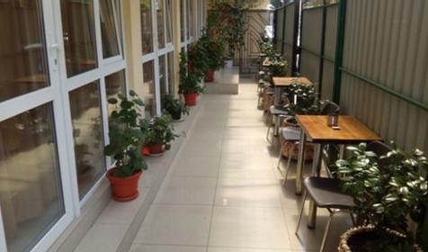 Диковинка Сочи