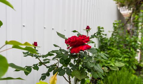 Гостевой дом На Мира, Геленджик