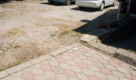 Гостевой дом "Прохладный", Туапсе, Джубга