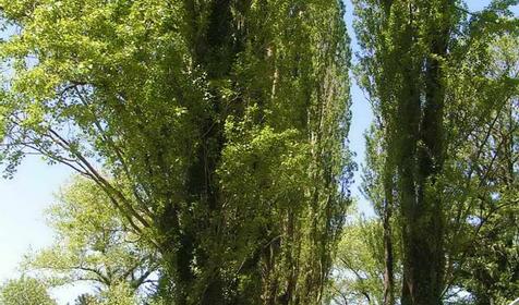 Поселок Южный, Туапсинский район