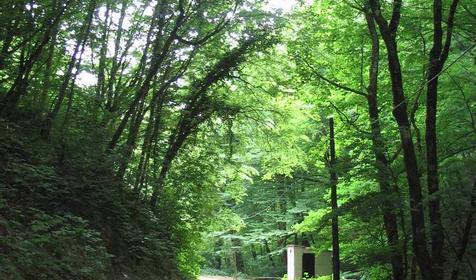 Поселок Южный, Туапсинский район