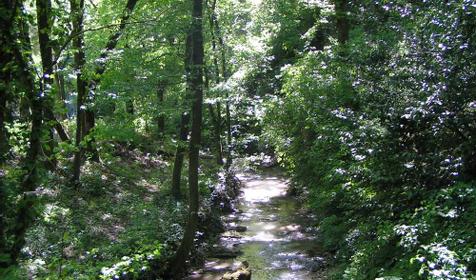 Поселок Южный, Туапсинский район