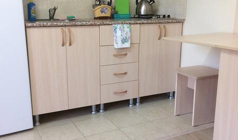 Двухместная студия с индивидуальной кухней без балкона (2 этаж). Гостевой дом Пионер