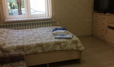 Двухместная студия с индивидуальной кухней без балкона (2 этаж). Гостевой дом Пионер