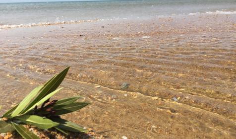 Miracle&N (Миракл&Н) All inclusive