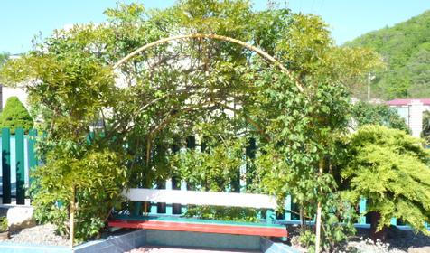 Гостевой дом Оазис, Туапсинский район, Пляхо