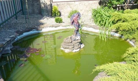 Гостевой дом Оазис, Туапсинский район, Пляхо