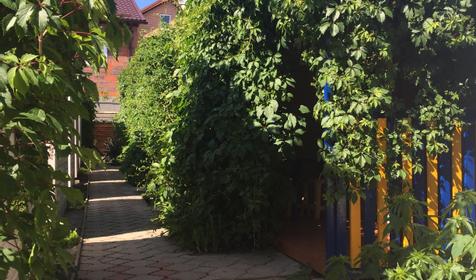 Южный берег