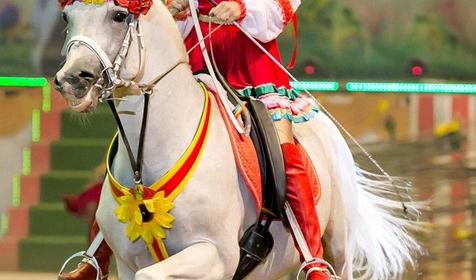 Культурно-туристический комплекс "Россия", г. Новороссийск, п. Абрау-Дюрсо